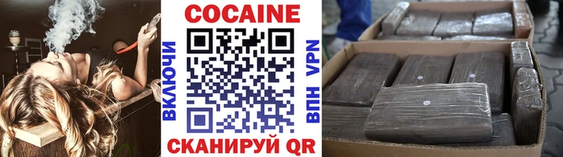 Купить закладки Сухой Лог COCAIN FishScale
