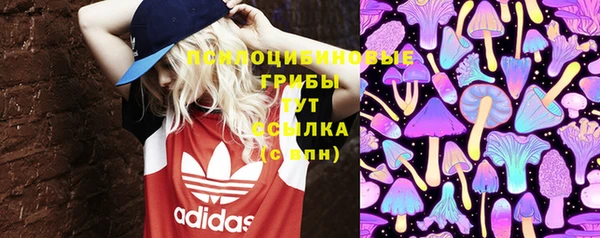 apvp Кинешма