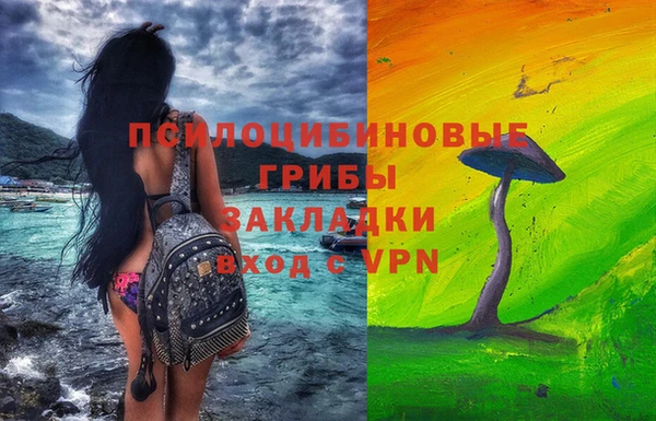 экстази Козельск