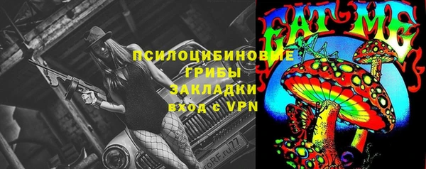 apvp Кинешма